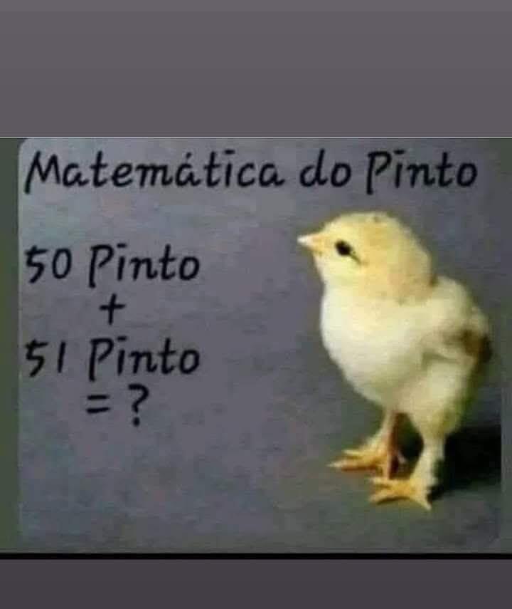 #Memes #NostrBR #DaviPinheiro