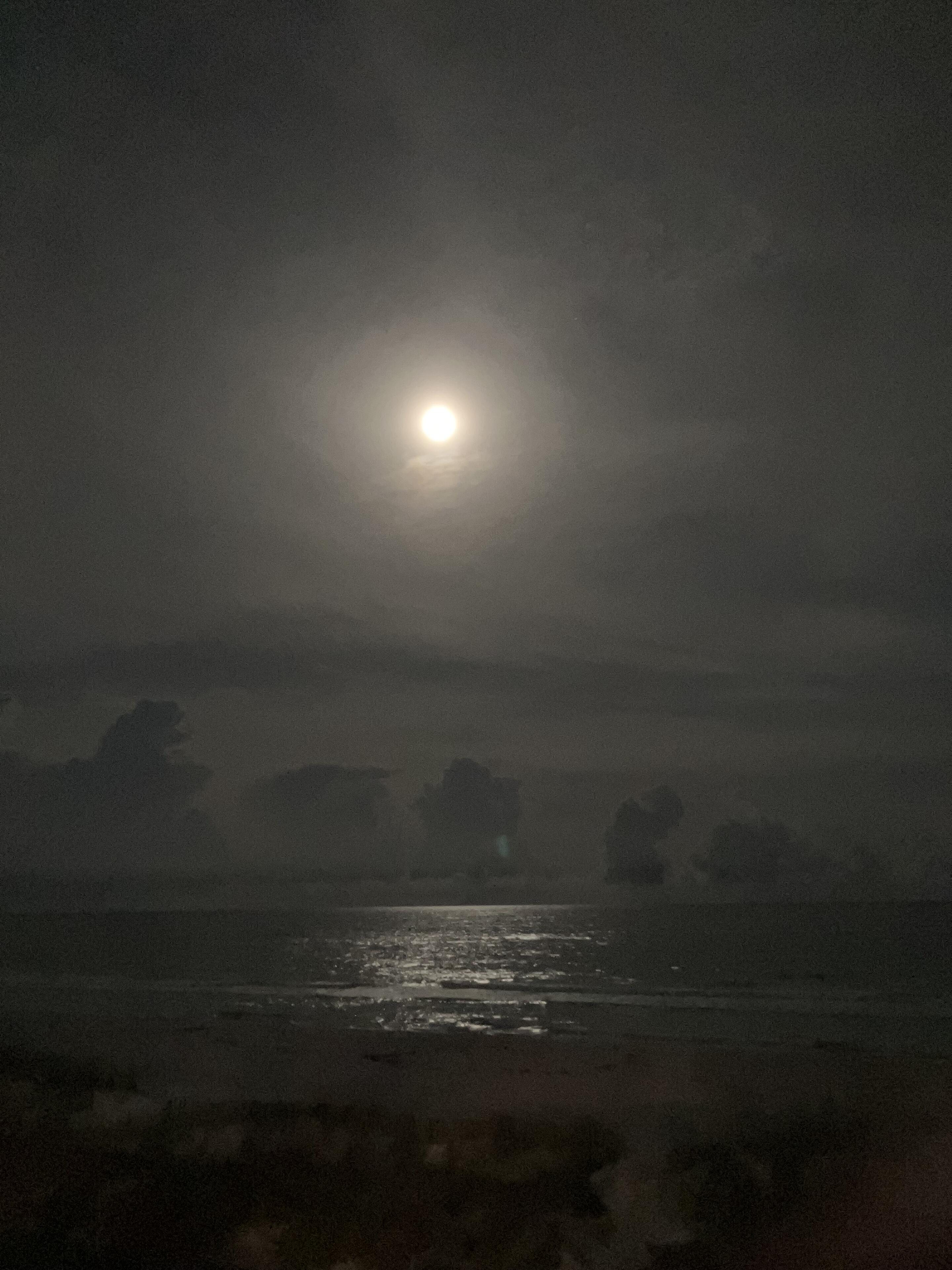 gn…