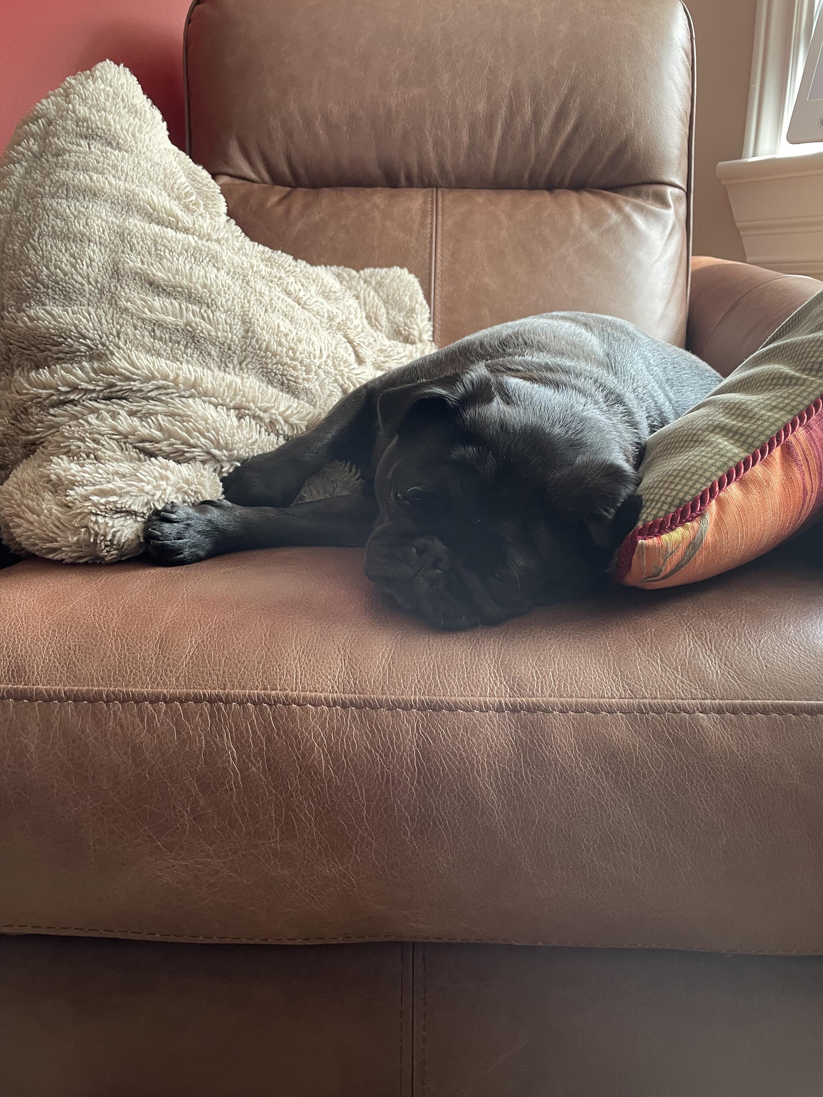 I get a new chair in…
