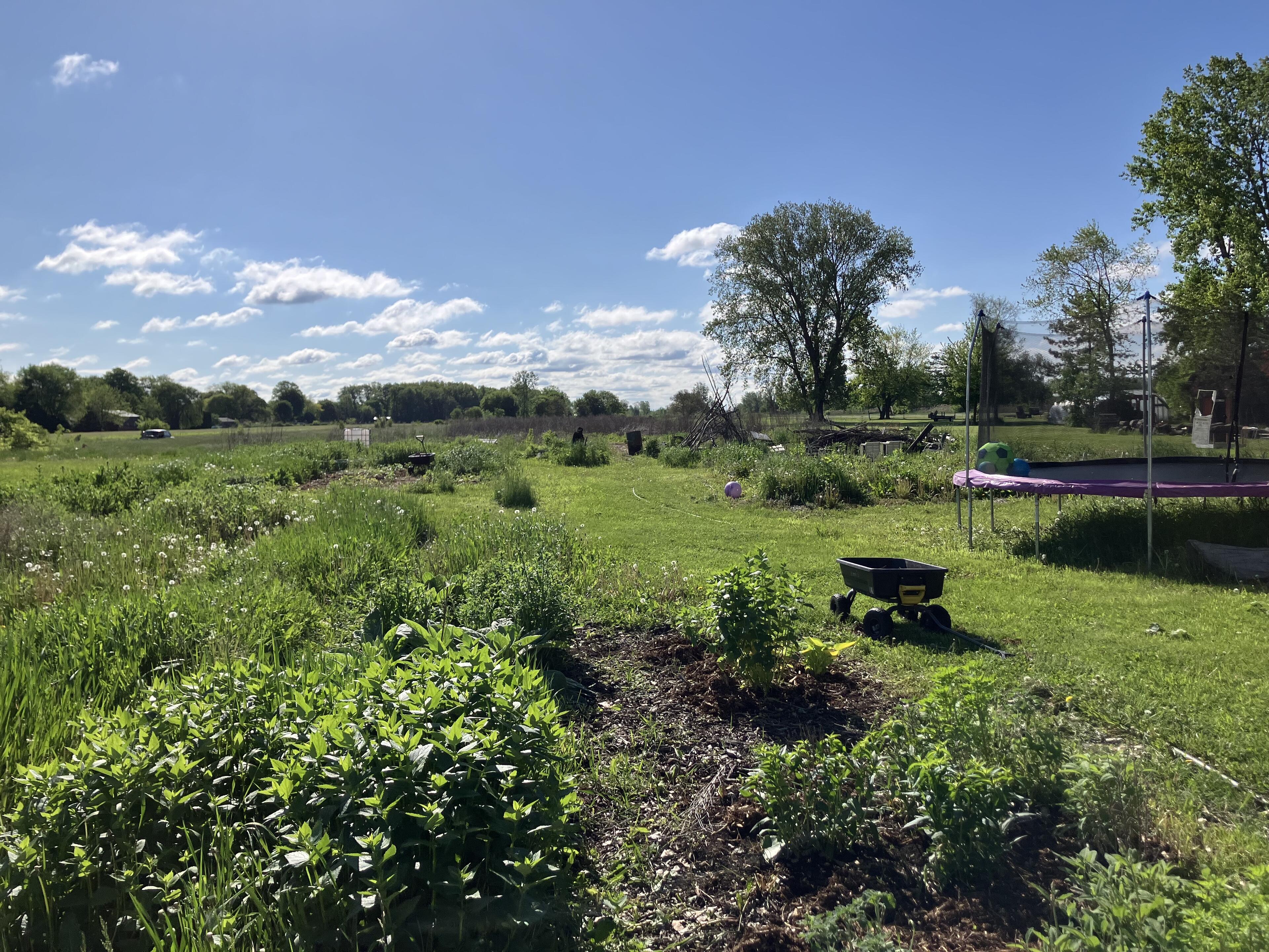 Planting & weeding day.…