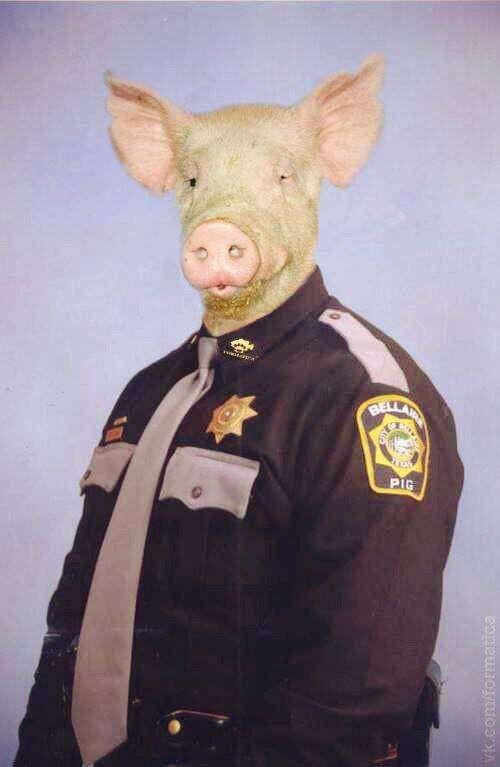 #acab #1312