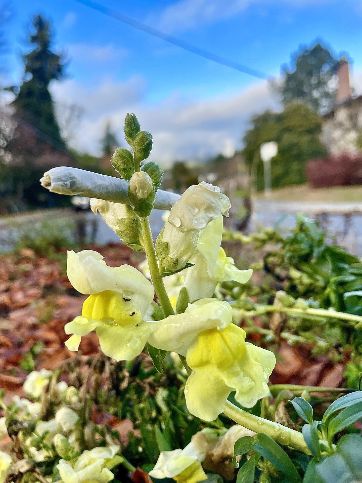 The rain 🌧️ stopped, and the sky…