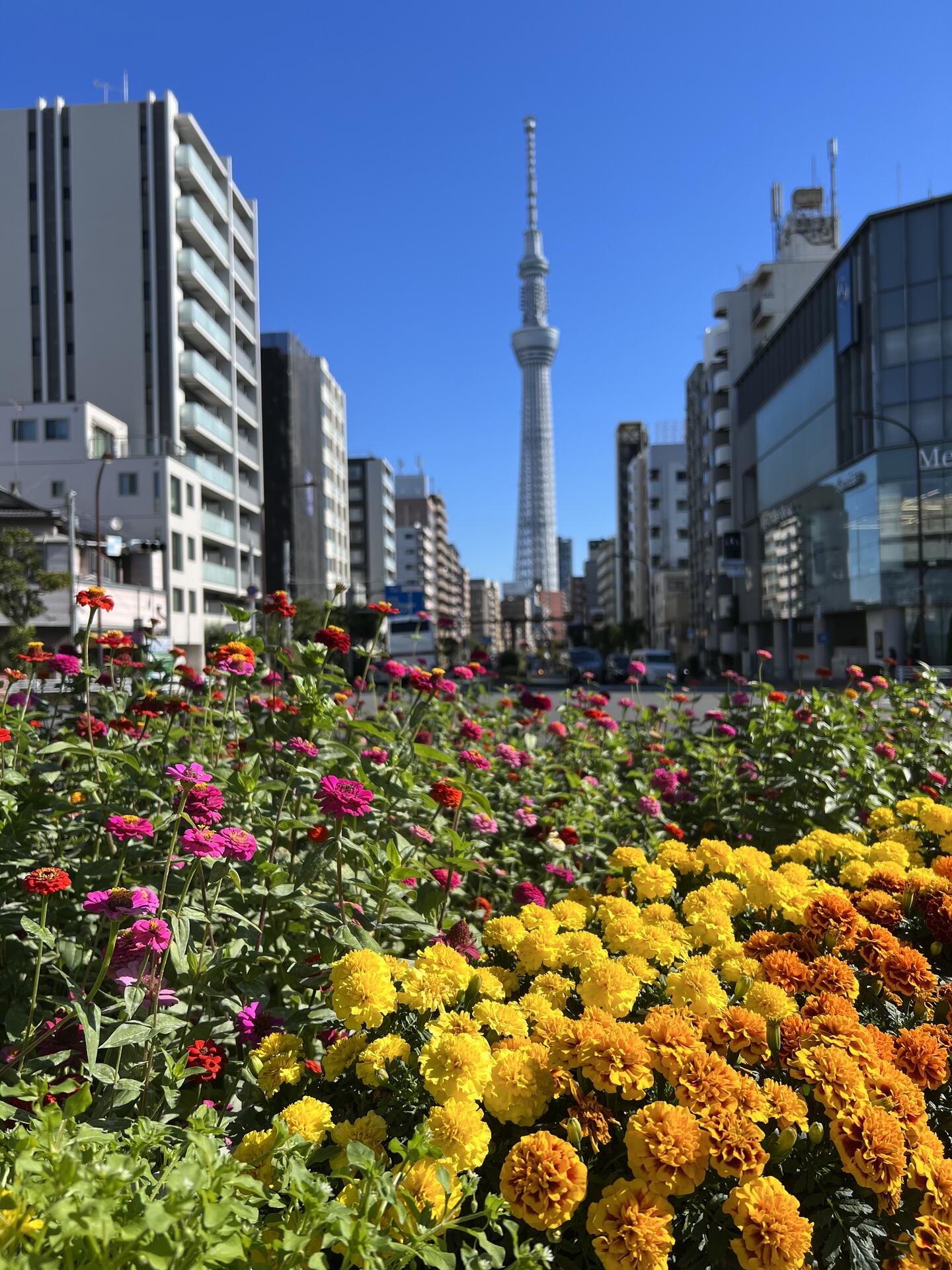 Tokyo SkyTree 🇯🇵 #Photography #travel #wherostr