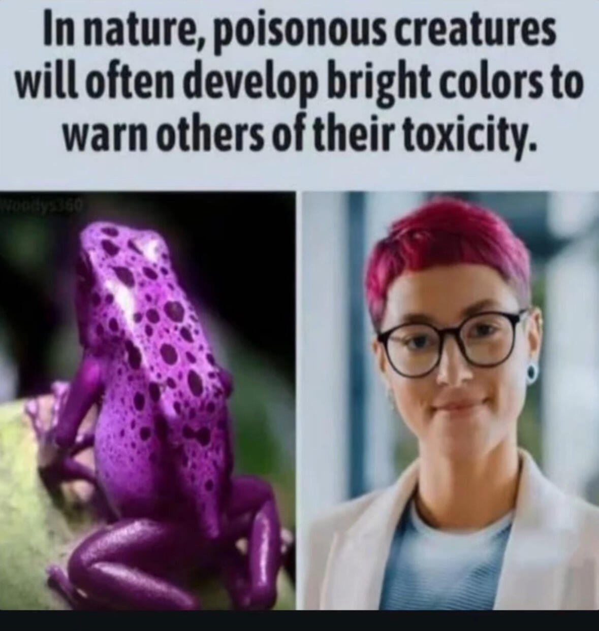 🖼️