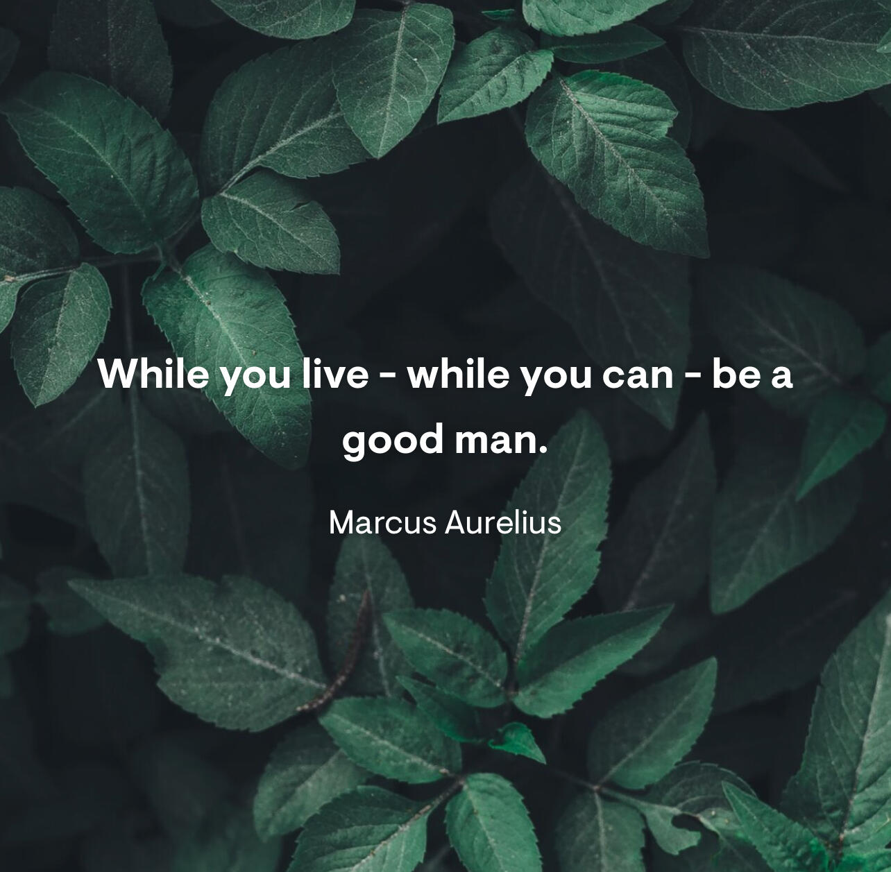 While you live, be a good…