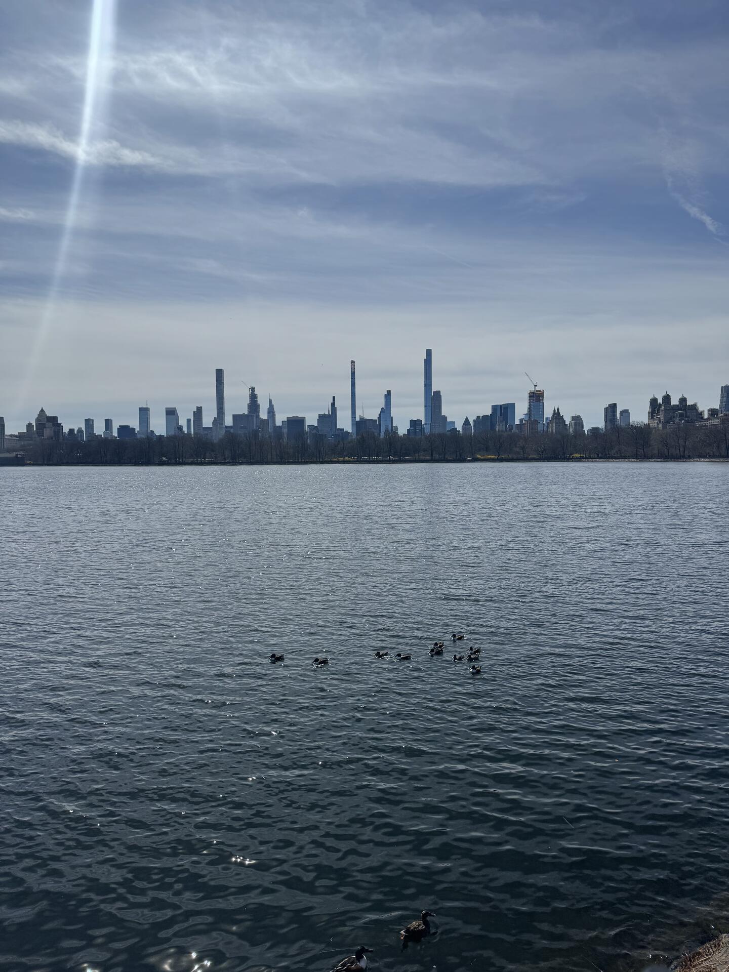 Beautiful day in Central Park #NYC