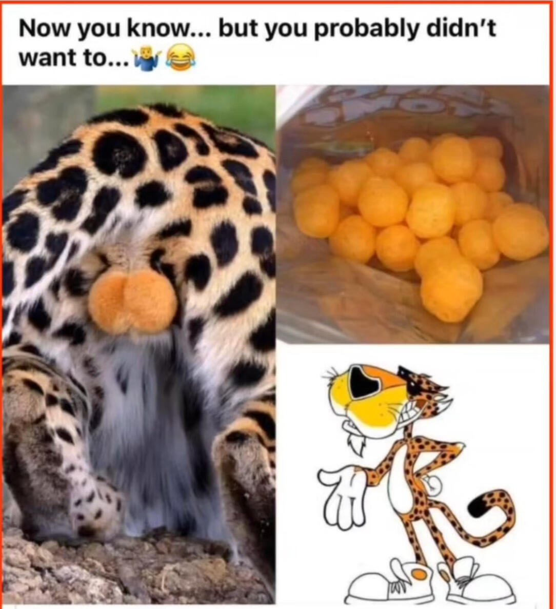 🖼️
