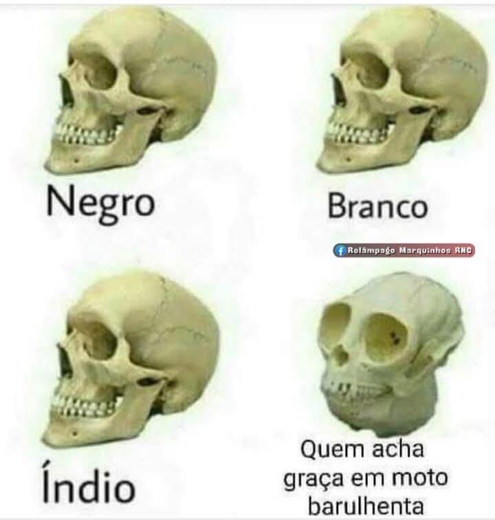 #Memes #NostrBR #DaviPinheiro
