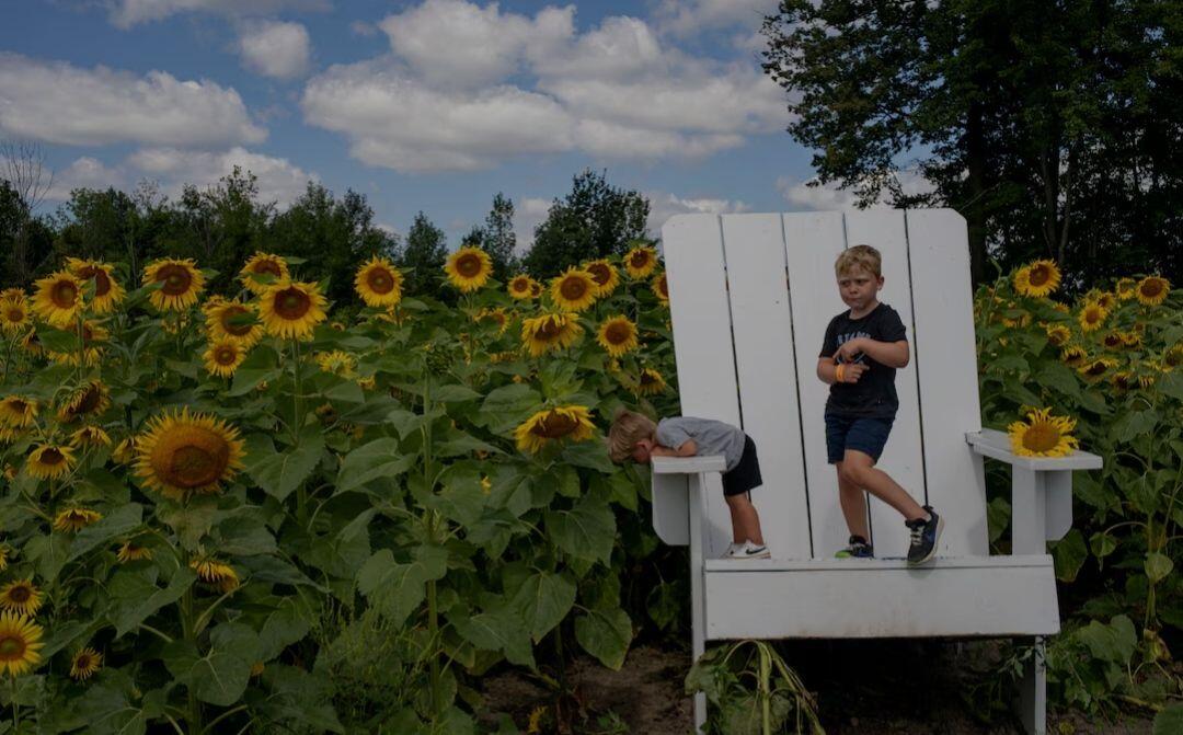 Mikey Naert, 5, and Jack Naert,…