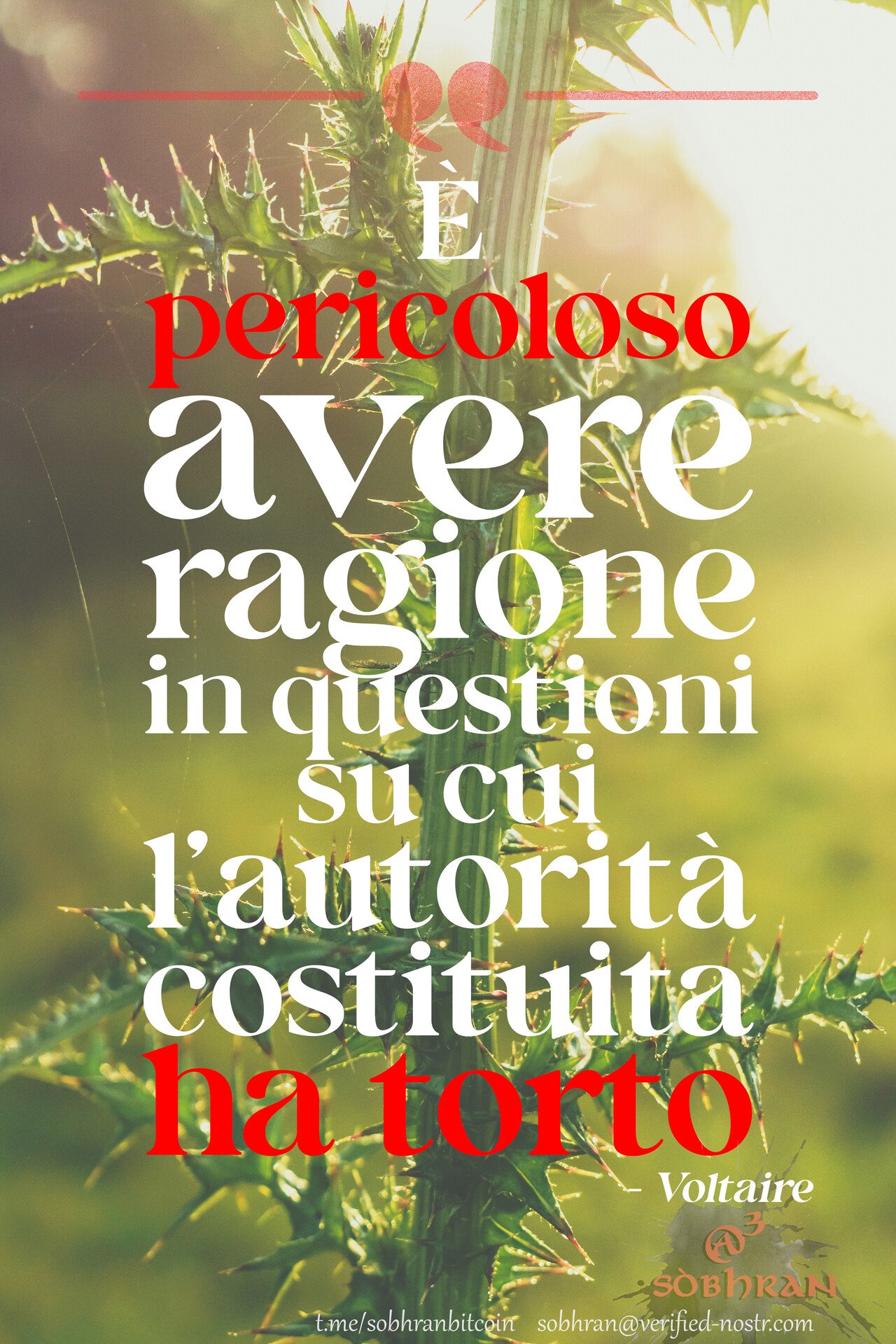 #AverRagione…