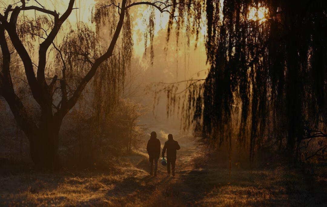 Men walk between trees in morning…