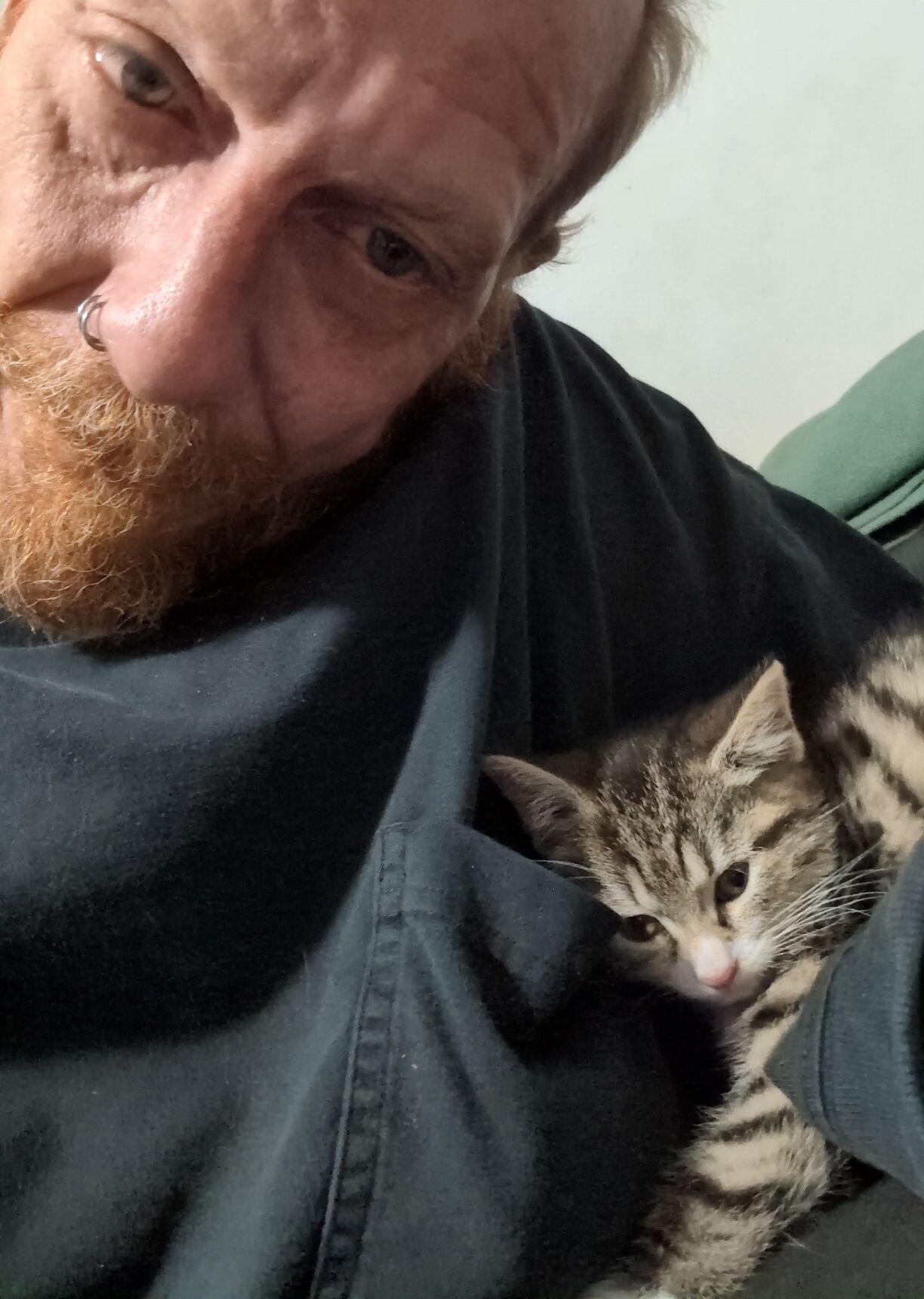 #anarcats