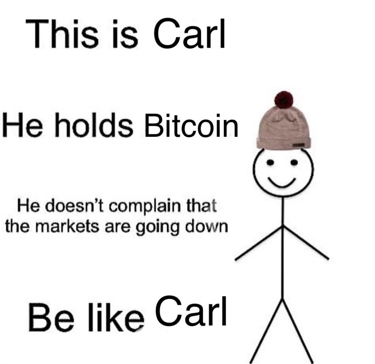 In fact, Carl loves #Bitcoin dips.