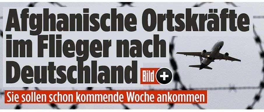 #politik #btw25 #gesellschaft #gruene
