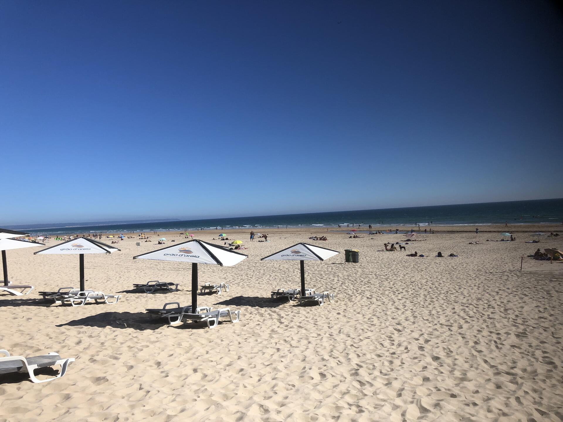 Cover image for Summer