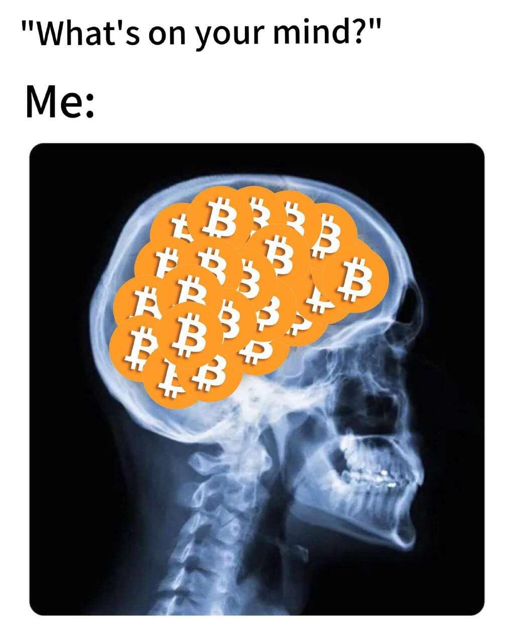 #Bitcoin #Meme #Bitcoiners