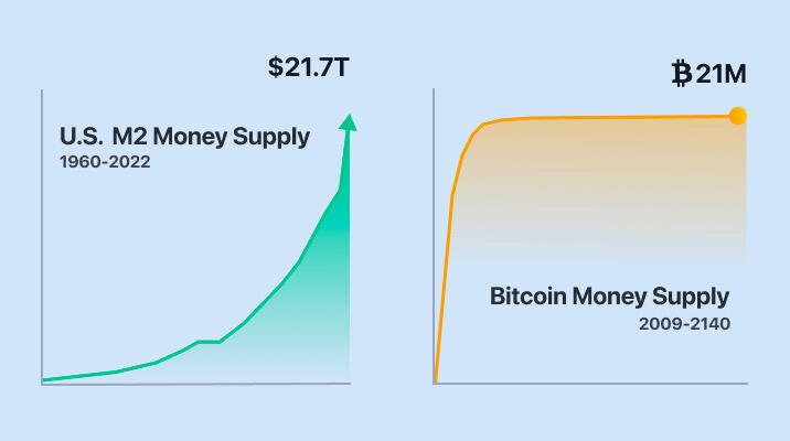 Find the Ponzi: