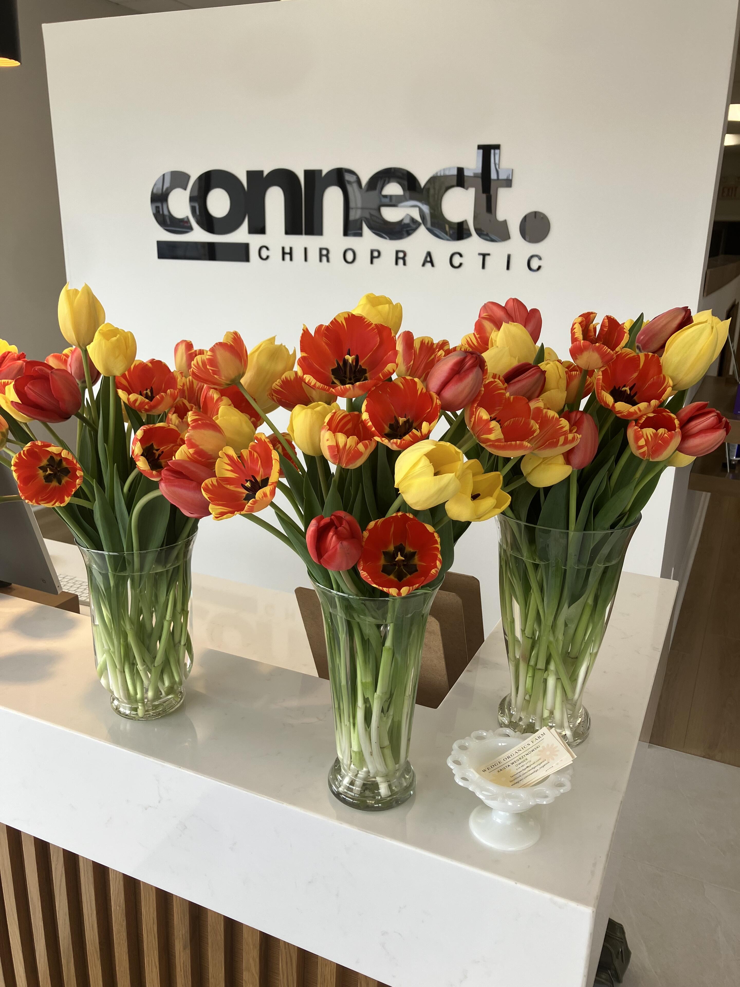 A local Chiropractor is giving a…