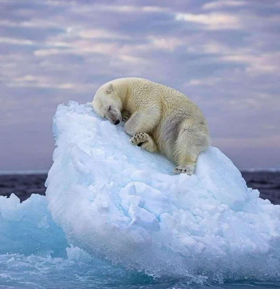 "Ice Bed" taken by amateur photographer…