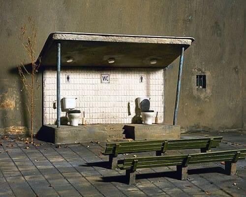 Very public toilet 🥴 #nostr #meme