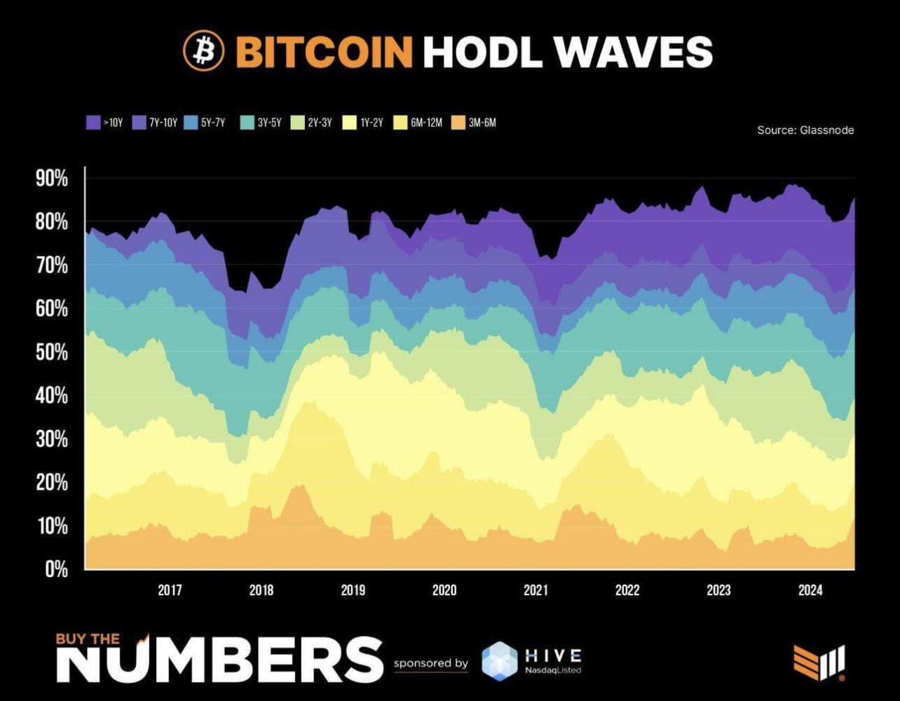 HODL Wave: Over 65% of all…