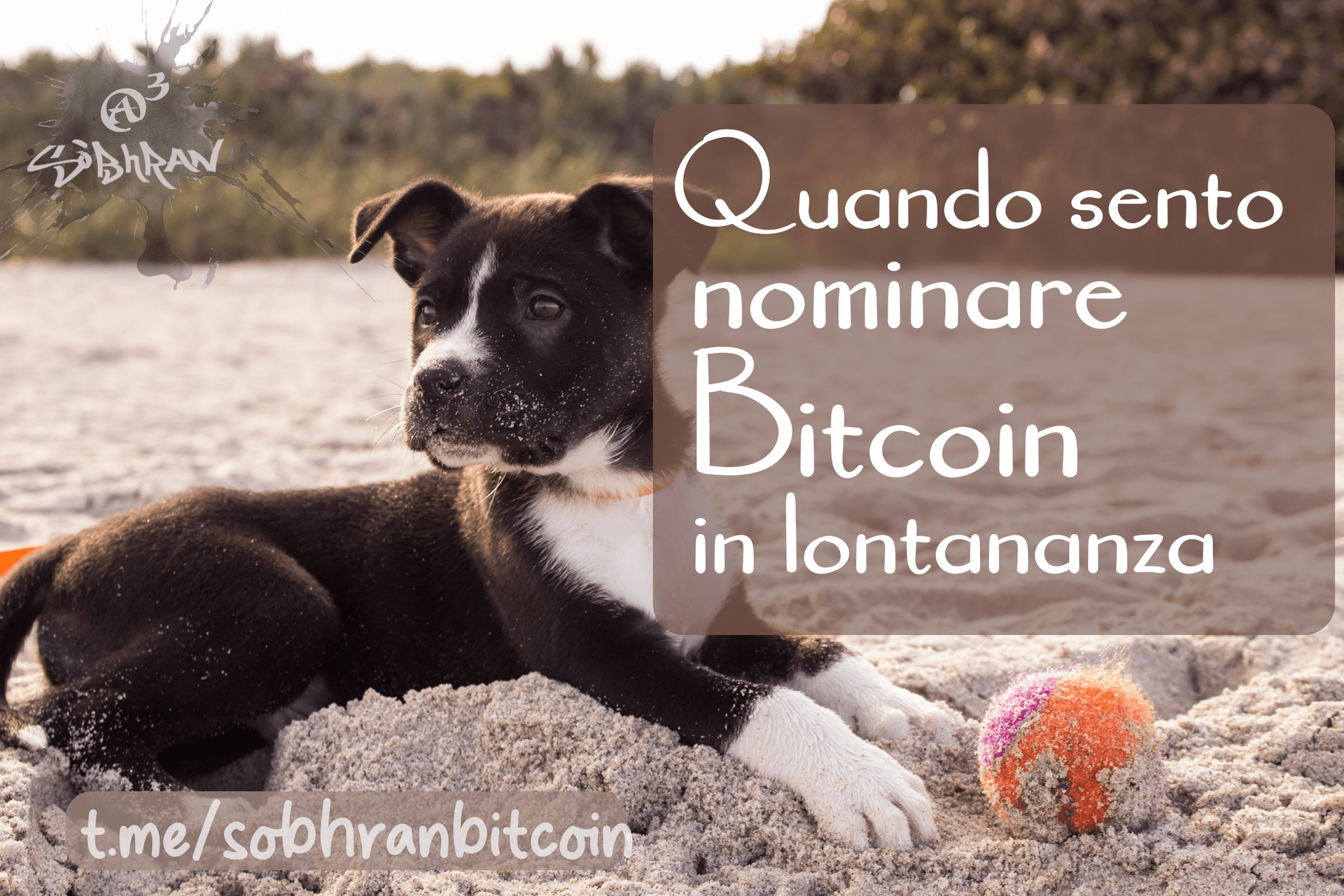 +io, quando sento parlare di #Bitcoin…