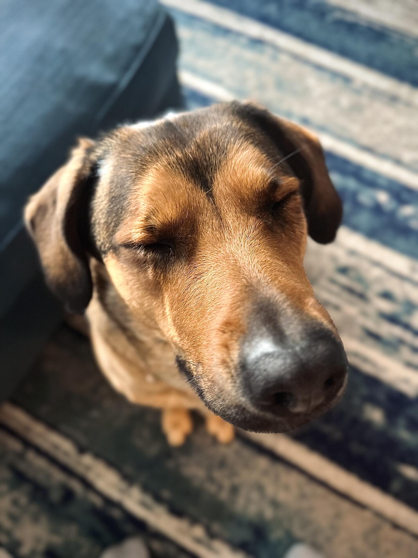 Sadie