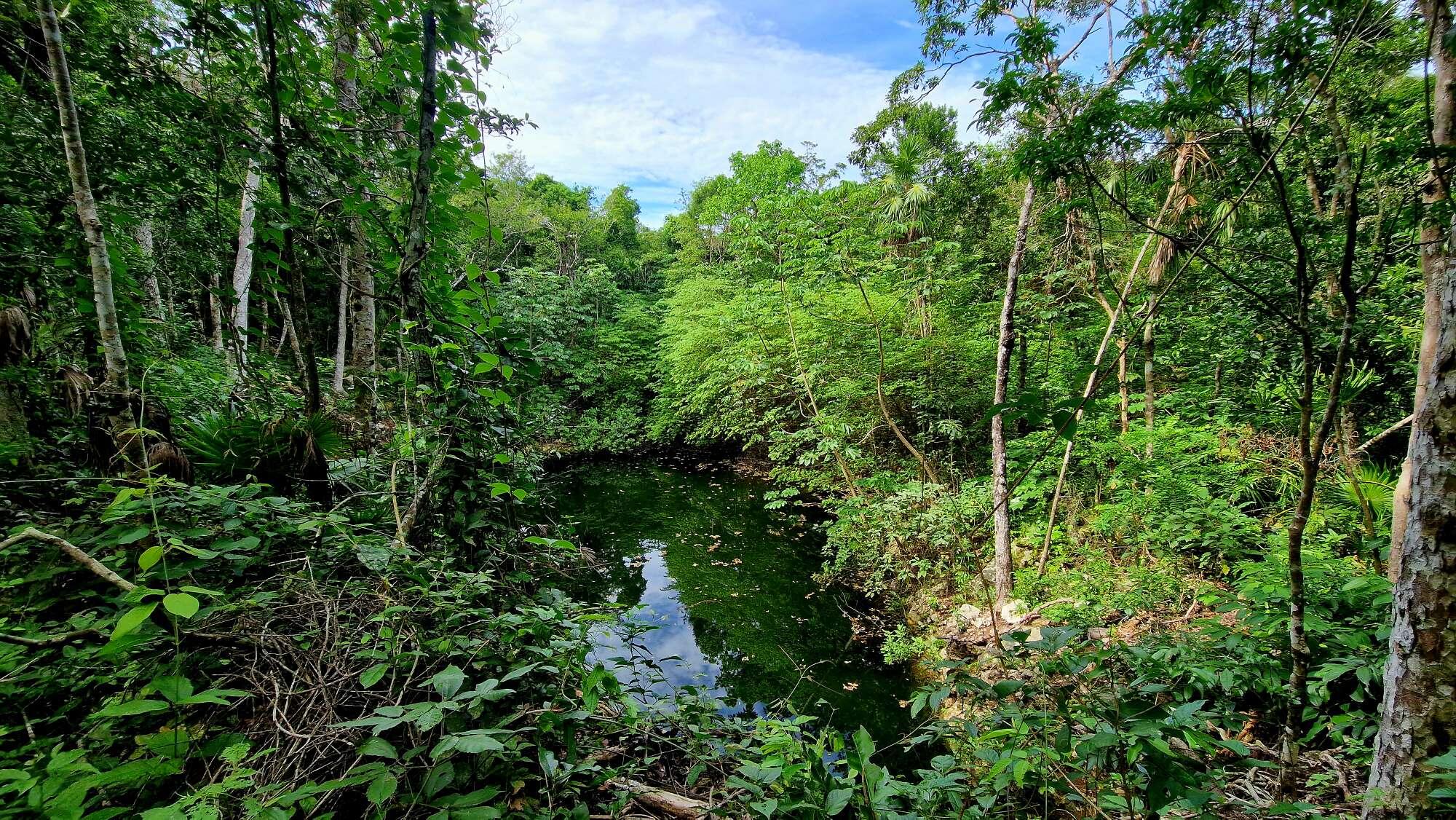 Cenote