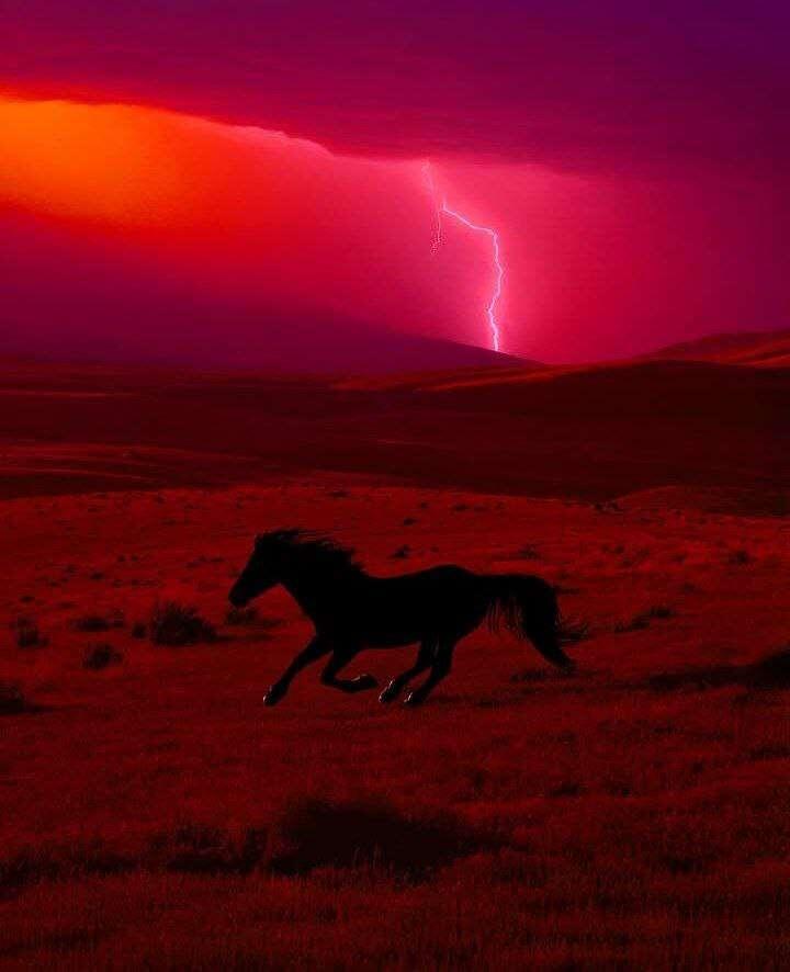 🖼️
