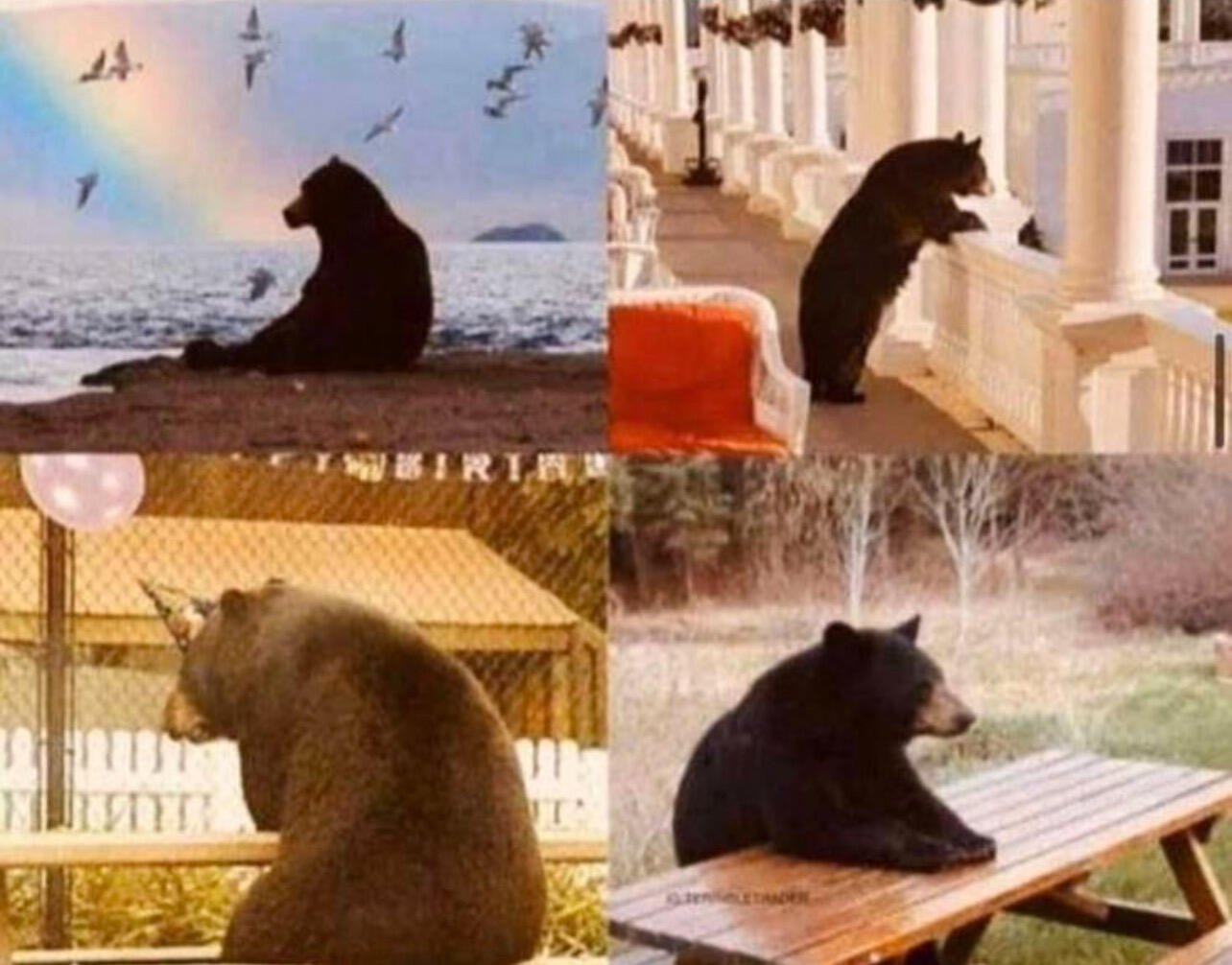 POV: Bears waiting for the #Bitcoin…
