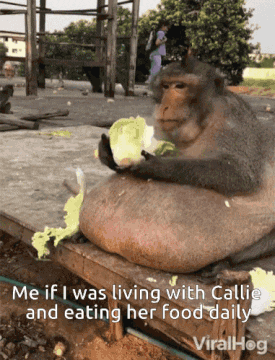 @Callie