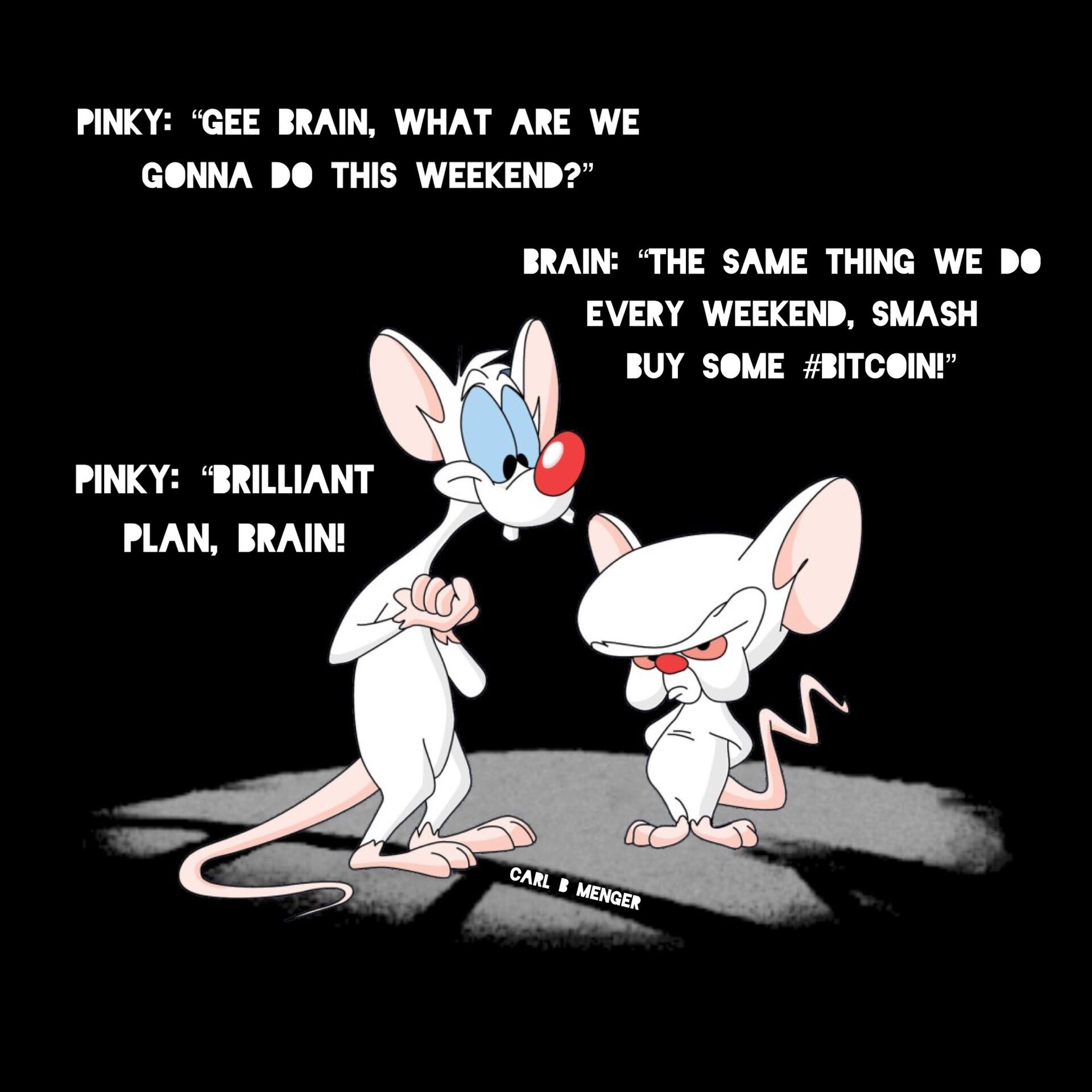 Pinky: “Gee Brain, what are we…