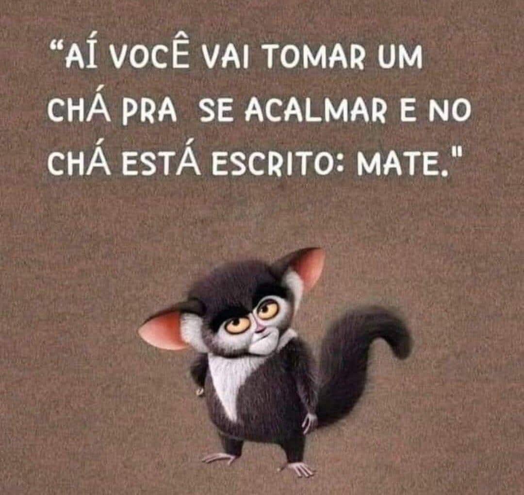 #Memes #NostrBR #DaviPinheiro