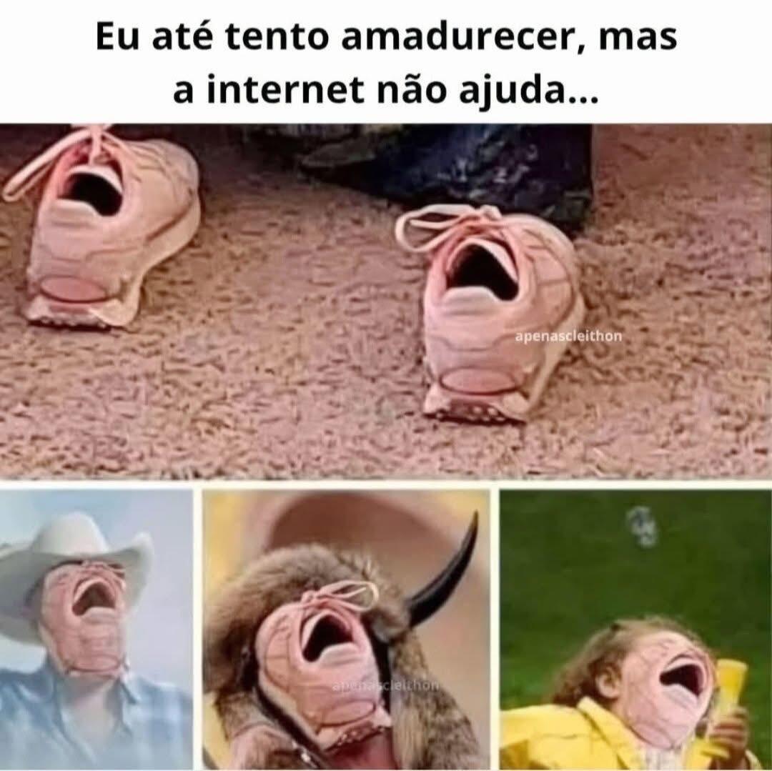 #Memes #NostrBR #DaviPinheiro
