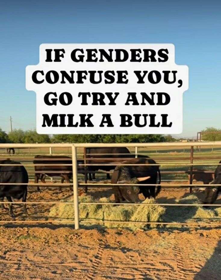 🖼️