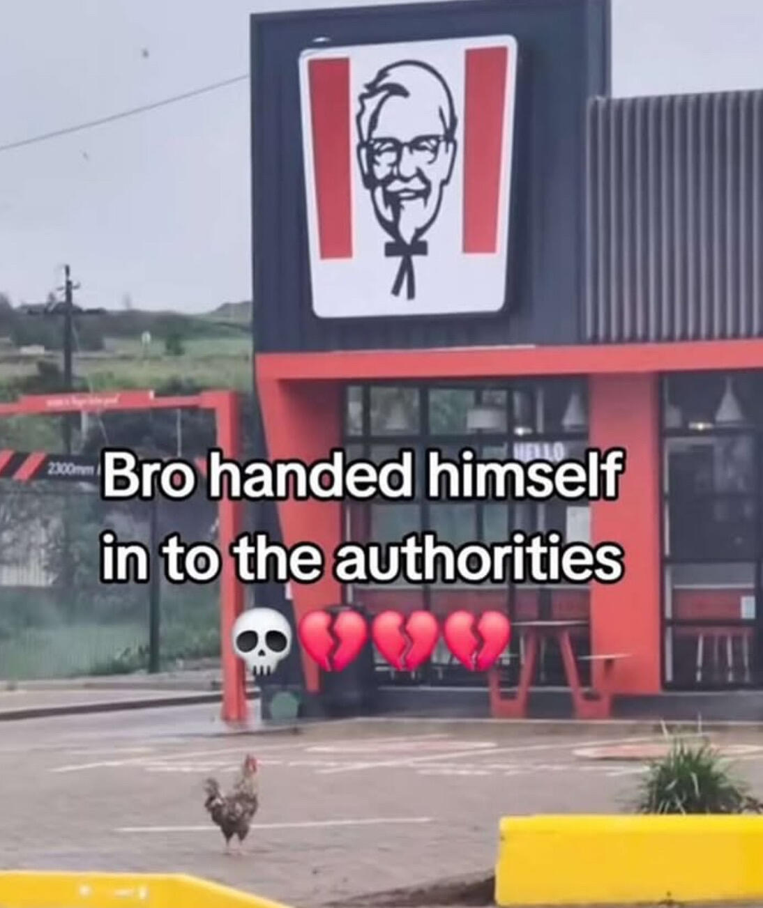 🖼️