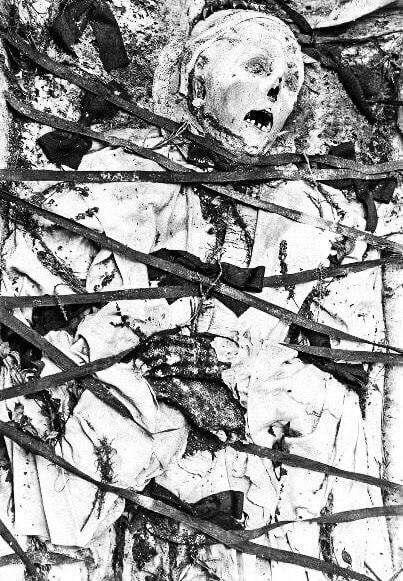 The photo shows the corpse of…