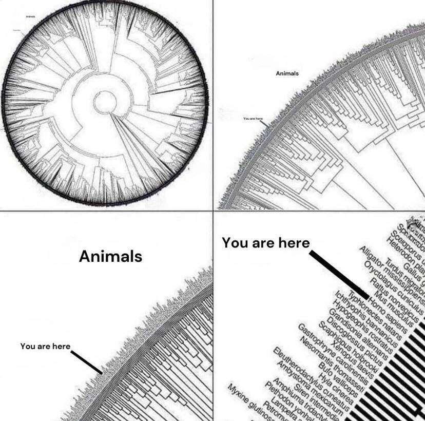 Scientists have created an updated version…