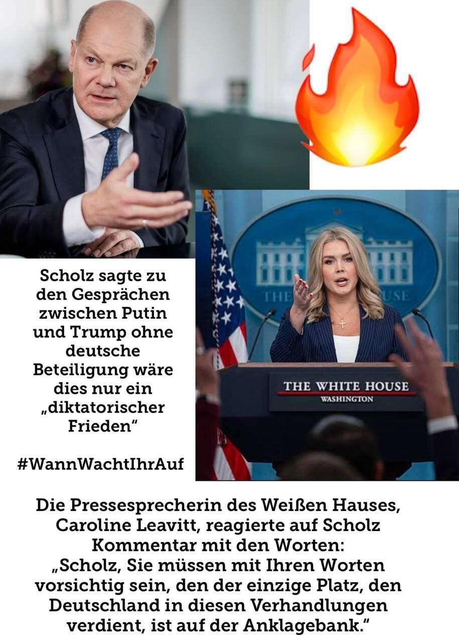 #spd #scholz #politik