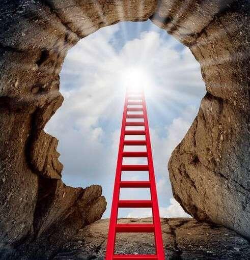 If you want to lead a…