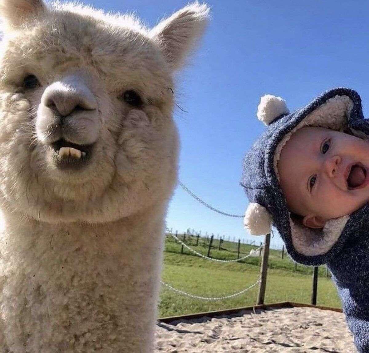 Cute