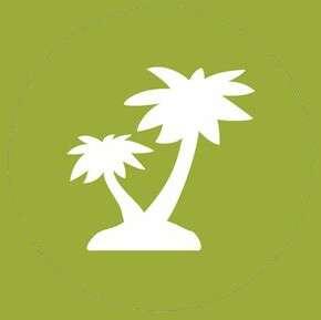 PalmTree