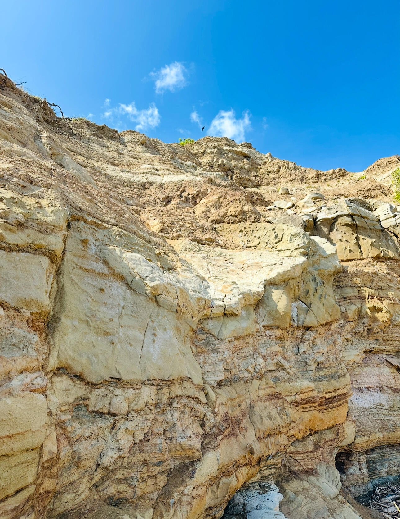 The marks on rocks 🪨 tell their…