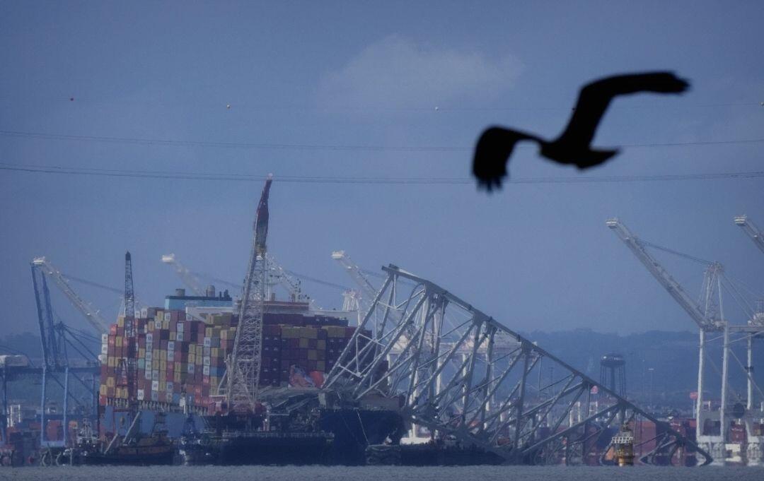 A bird flies past the collapsed…