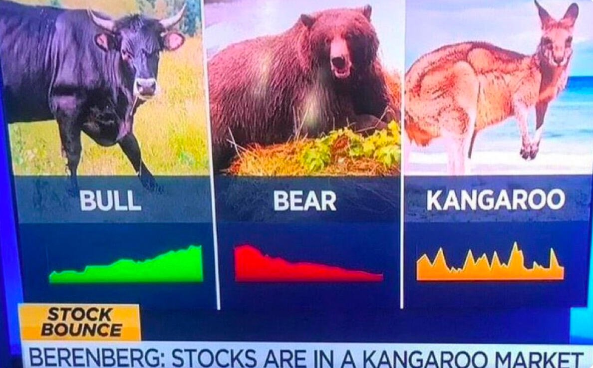 #Bitcoin officially entered Kangaroo Zone.