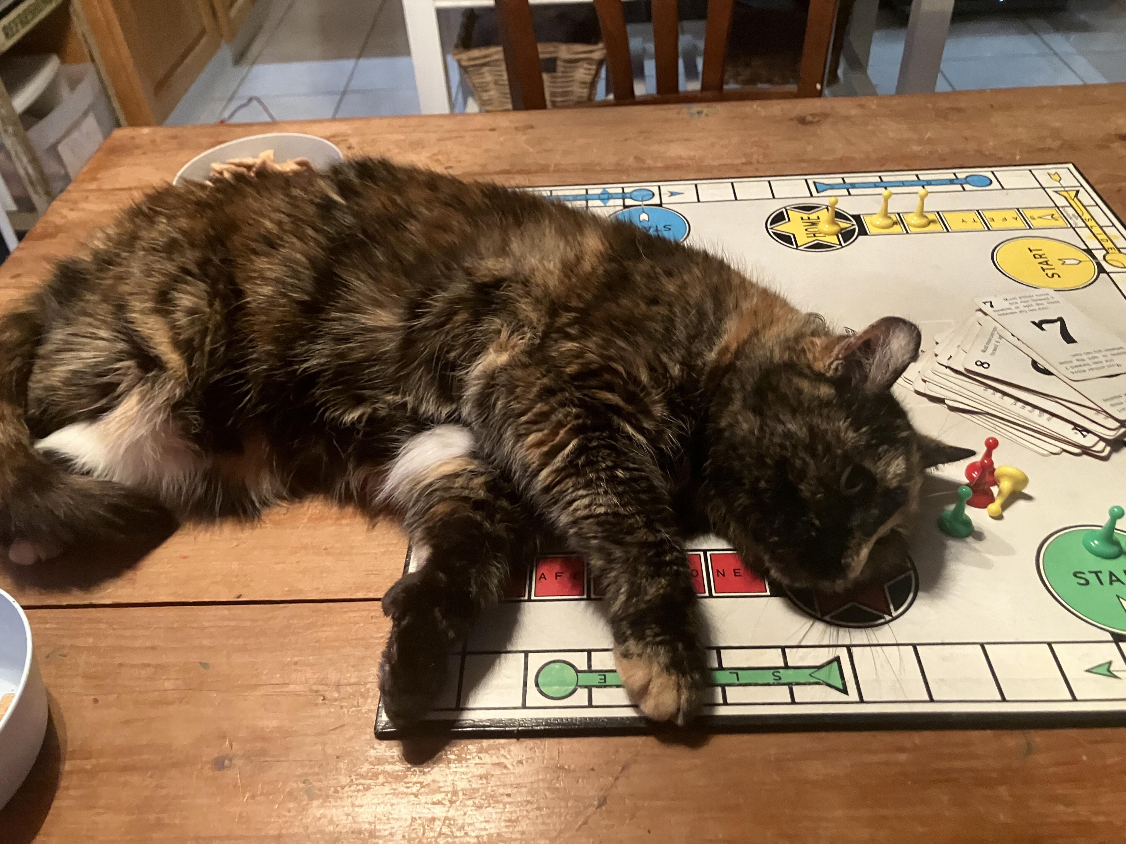 her favourite game, we ended up…