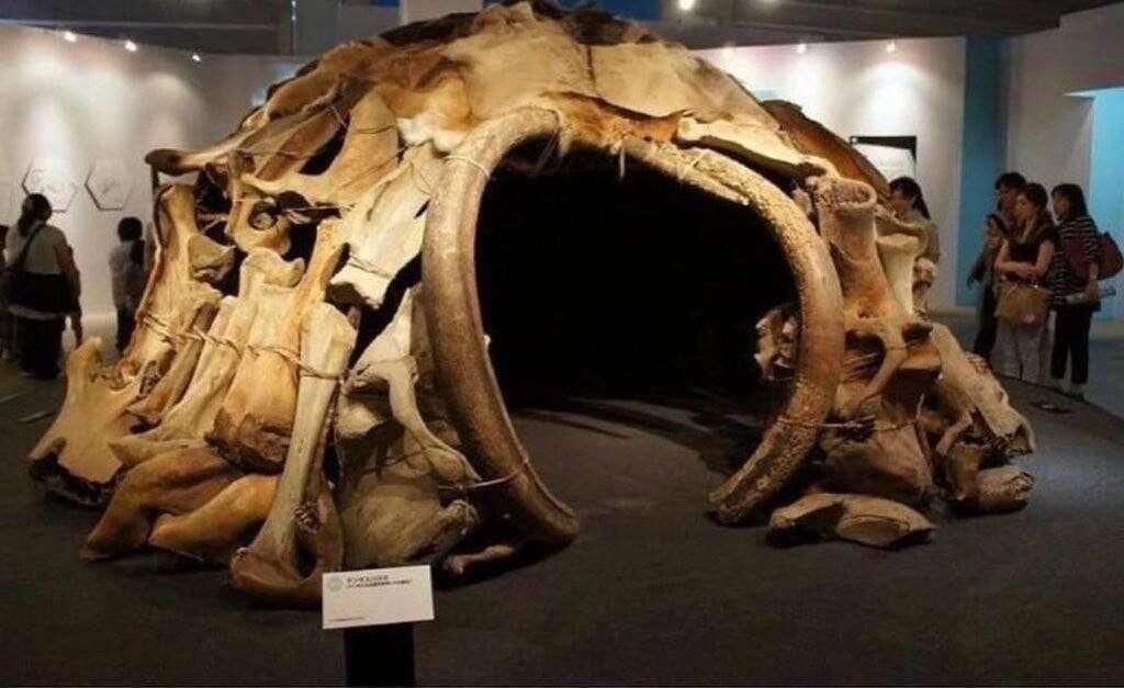 A hut made of mammoth bones,…