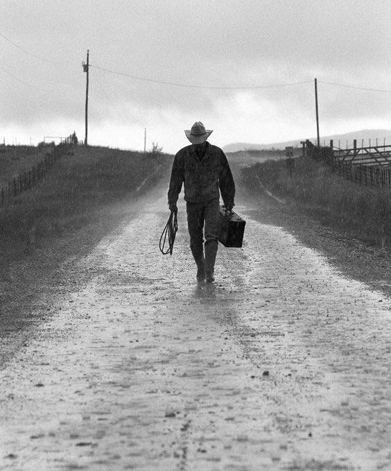 Cover image for The Weight of Mediocrity: Why Walking Alone Is Sometimes Necessary