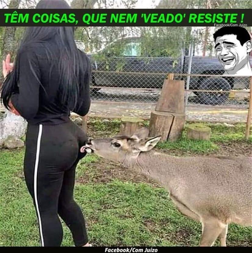 #Memes #NostrBR #DaviPinheiro