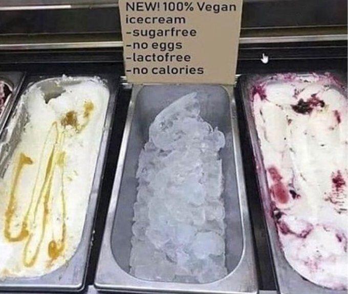 100% vegan ice cream